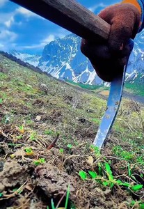 ཁུལ་ཡོངས་ཀྱི་དབྱར་རྩྭ་དགུན་འབུ་རྐོ་མཁན་ལ་བསྐུར་བའི་ཁྲིམས་ཁྱབ་འཕྲིན་ཡིག