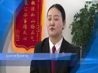 ཁྲིམས་བཤད་སྐར་མ་ཉི་ཤུ།   དཔལ་ཁ་ཁྲིམས་ར།