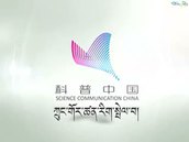 ཕག་རྟུག་གིས་སྣུམ་སྙིགས་ཀྱི་ཚབ་བྱས་ནས་གཞུང་ལམ་སྟེང་འདིངས་པ།