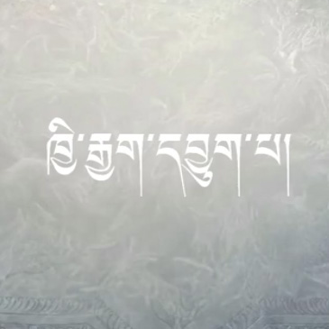 ཁྱི་རྒྱག་དབྱུག་པ། ལེའུ་དང་པོ།