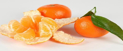 ཚ་ལུ་མའི་ཤུན་པགས་ལ་བྱེད་ནུས་གང་དག་ཡོད།